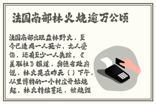 番茄视频在线播放资源
